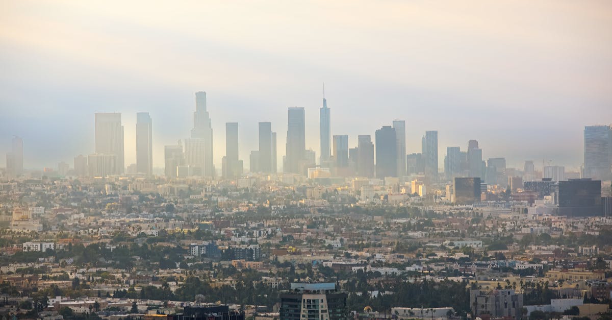 Joacă Românii La Cazinouri În Spania? O Privire Sinceră Asupra Fenomenului